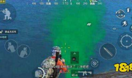 和平精英吃瓜爆料最新版,吃瓜爆料，最新版游戏内幕大揭秘！